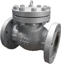 check-valve-2024cs-p1